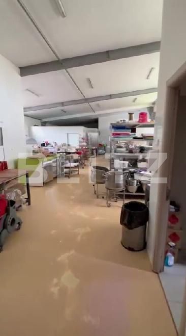 Spațiu industrial de vânzare Botizului - 183088SVI | BLITZ Satu Mare | Poza2