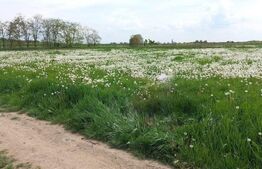 Teren intravilan de vanzare, 652 mp, in Vetis