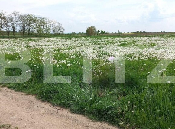 Teren de vânzare Vetiş - 183138TV | BLITZ Satu Mare | Poza2