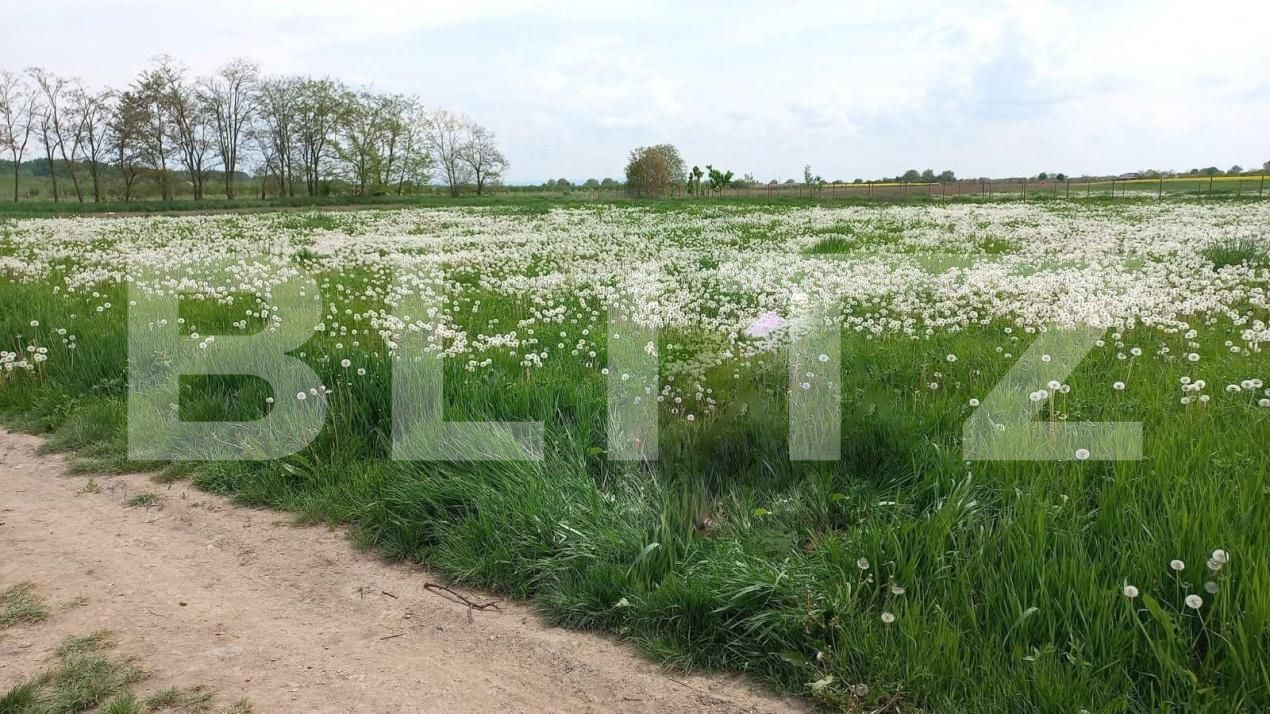 Teren de vânzare Vetiş - 183138TV | BLITZ Satu Mare | Poza2