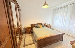 Casă de vânzare 239 mp, teren 5,6 ari,  zona Titulescu