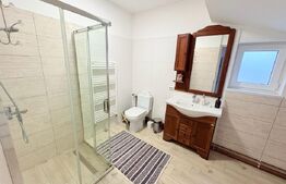 Casă de vânzare 239 mp, teren 5,6 ari,  zona Titulescu