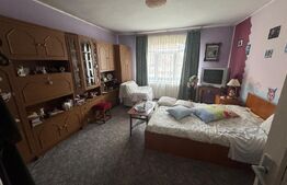Casa de vanzare cu 6 camere, 374 mp, teren 719 mp,  strada Baritiu