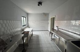 Casa de vanzare cu 6 camere, 374 mp, teren 719 mp,  strada Baritiu