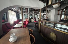 Casa de vanzare cu 6 camere, 374 mp, teren 719 mp,  strada Baritiu