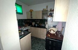 Casa de vanzare cu 6 camere, 374 mp, teren 719 mp,  strada Baritiu