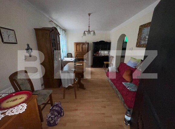 Casa de vânzare 6 camere Nord - 183175CV | BLITZ Satu Mare | Poza3