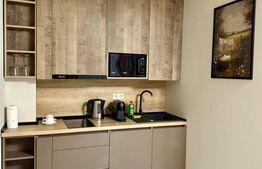 Apartament 2 camere de inchiriat, 40 mp, zona Piata de Vechituri