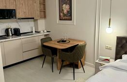 Garsoniera de inchiriat, 30 mp, zona Piata de Vechituri