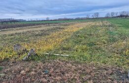 Teren intravilan de vanzare, 1500 mp, in Odoreu