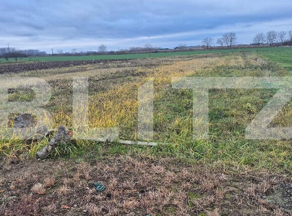 Teren de vânzare Odoreu - 183374TV | BLITZ Satu Mare | Poza1