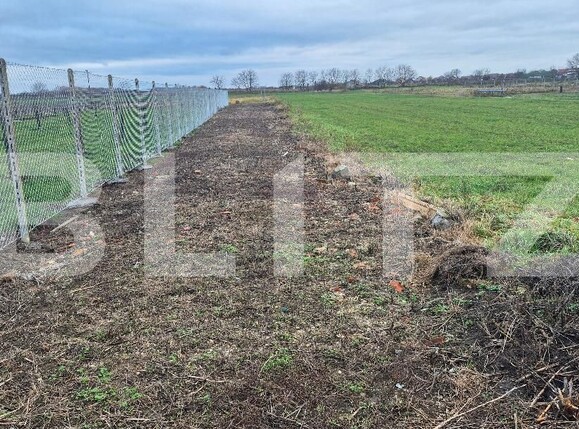 Teren de vânzare Odoreu - 183374TV | BLITZ Satu Mare | Poza3