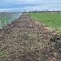 Teren de vânzare Odoreu - 183374TV - Poza 1 din 3 | BLITZ Satu Mare | Poza2