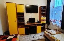 Casa de vanzare cu 3 camere, in curte comuna,100 mp, zona Titulescu Satu Mare