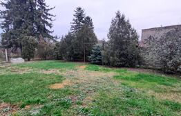 Casa de vanzare, curte comuna, 100 mp, zona Titulescu 