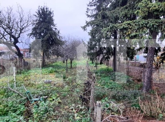 Casa de vânzare 3 camere Titulescu - 183422CV | BLITZ Satu Mare | Poza9