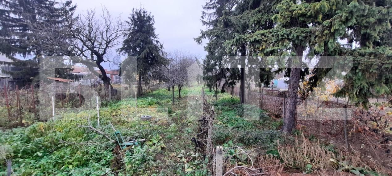 Casa de vânzare 3 camere Titulescu - 183422CV | BLITZ Satu Mare | Poza9