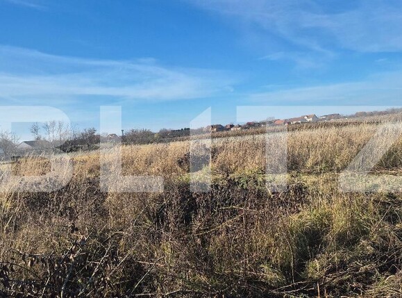 Teren de vânzare Odoreu - 183436TV | BLITZ Satu Mare | Poza2