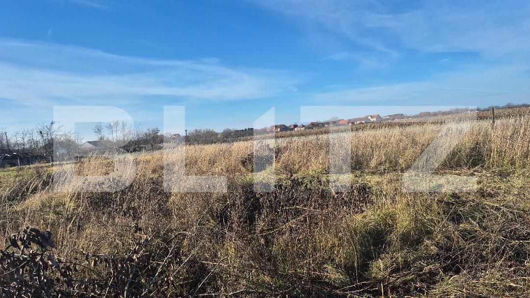 Teren de vânzare Odoreu - 183436TV | BLITZ Satu Mare | Poza2