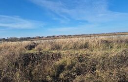 Teren intravilan de vanzare, 1000 mp, in Odoreu