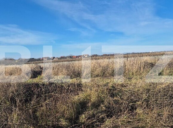 Teren de vânzare Odoreu - 183437TV | BLITZ Satu Mare | Poza2