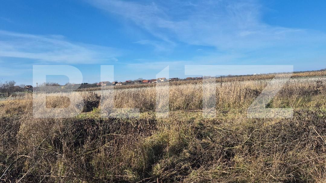 Teren de vânzare Odoreu - 183437TV | BLITZ Satu Mare | Poza2