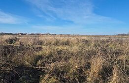 Teren intravilan de vanzare, 900 mp, in Odoreu