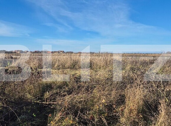 Teren de vânzare Odoreu - 183438TV | BLITZ Satu Mare | Poza2