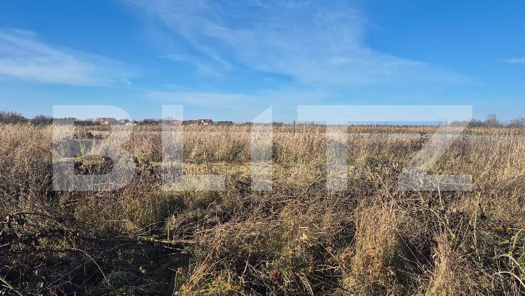 Teren de vânzare Odoreu - 183438TV | BLITZ Satu Mare | Poza2