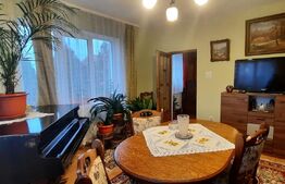 Doua case de vanzare in curte comuna,zona Titulescu Satu Mare