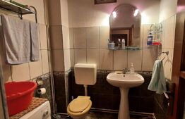 Doua case de vanzare in curte comuna,zona Titulescu Satu Mare