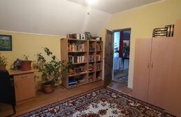 Doua case de vanzare in curte comuna,zona Titulescu Satu Mare