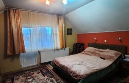 Doua case de vanzare in curte comuna,zona Titulescu Satu Mare