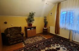 Doua case de vanzare in curte comuna,zona Titulescu Satu Mare