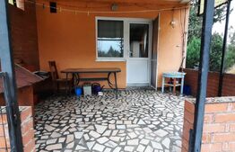 Doua case de vanzare in curte comuna,zona Titulescu Satu Mare