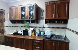 Doua case de vanzare in curte comuna,zona Titulescu Satu Mare