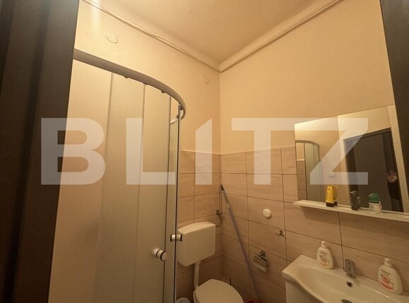 Apartament de vânzare 2 camere Central - 183563AV | BLITZ Satu Mare | Poza7