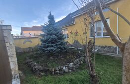 Casa 5 camere + Anexa, 225 mp, teren 364 mp, zona 14 Mai