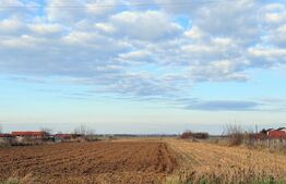 Teren de vânzare Exterior Sud - 175371TV | BLITZ Satu Mare | Poza2