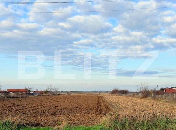 Teren de vânzare Nord-Est - 183595TV | BLITZ Satu Mare | Poza1