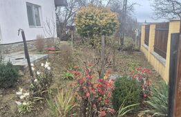 Casa cu 2 camere, 65 mp, teren 2910 mp, in Viile Satu Mare