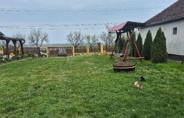 Casa cu 2 camere, 65 mp, teren 2910 mp, in Viile Satu Mare