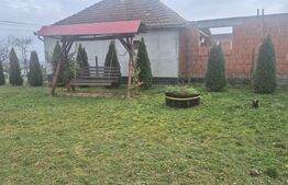 Casa cu 2 camere, 65 mp, teren 2910 mp, in Viile Satu Mare