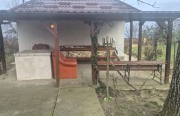 Casa cu 2 camere, 65 mp, teren 2910 mp, in Viile Satu Mare