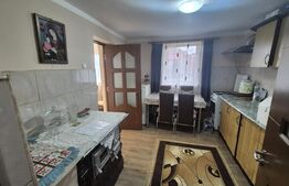 Casa cu 2 camere, 65 mp, teren 2910 mp, in Viile Satu Mare