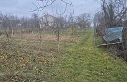 Casa cu 2 camere, 65 mp, teren 2910 mp, in Viile Satu Mare