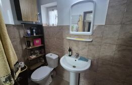 Casa cu 2 camere, 65 mp, teren 2910 mp, in Viile Satu Mare