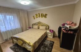 Casa cu 2 camere, 65 mp, teren 2910 mp, in Viile Satu Mare