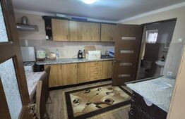 Casa cu 2 camere, 65 mp, teren 2910 mp, in Viile Satu Mare