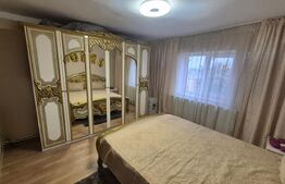 Casa cu 2 camere, 65 mp, teren 2910 mp, in Viile Satu Mare